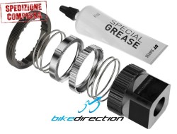 Kit DT Swiss Kit Upgrade E-Bike corpetto Anti Pedal Kickback Ratchet DF DEG 60T 0/10° con attrezzo