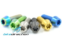 Vite titanio colorata testa conica T25 bici M5x10