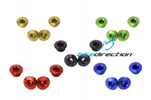 bussole-viti-XX1-nere-oro-gold-Carbon-Ti-verde-rosso-blu-ergal-screws-Bike-Direction