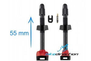 CARBONARIA-valves-55-mm-valvole-carbonio-barbieri-Bike-Direction