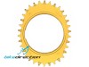 corona-Vo-34-T-TYPE-THREAD-GOLD-oro-sram-axs-misuratore-potenza-cruel-chainring-oval-Bike-Direction