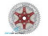 mz903-pacco-pignoni-sunrace-sram-11-51-silver-back-Bike-Direction
