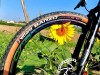 ruote-carbonio-adesivi-colorati-full-color-cerchi-Bike-Direction